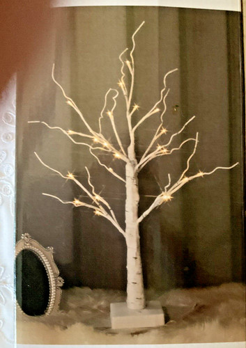 Albero natale betulla - albero,